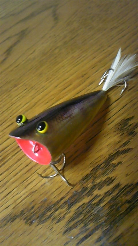 SPLASH CLUB choppy 70 スプラッシュクラブ チョッピー