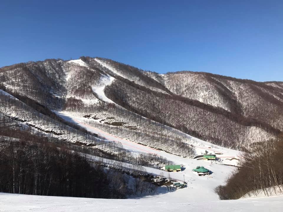 今週オープン予定のスキー場 Snow Dancer 今週オープン予定のスキー場 Snow Dancer