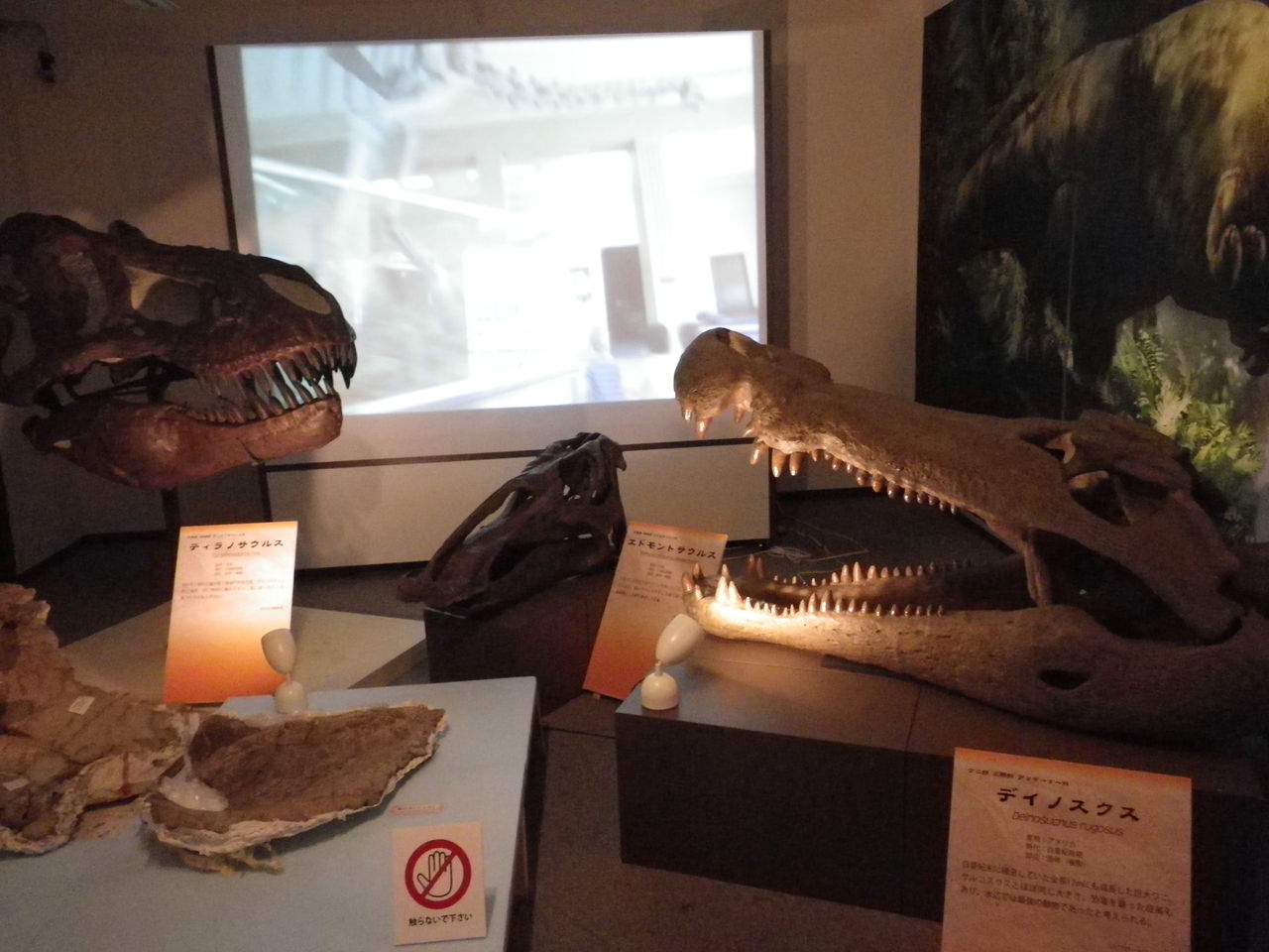 ワニと恐竜の共存 My Bookshelf