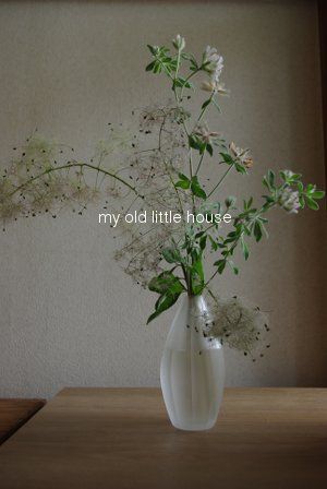06097