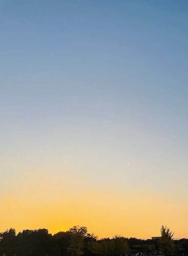 IMG_8972
