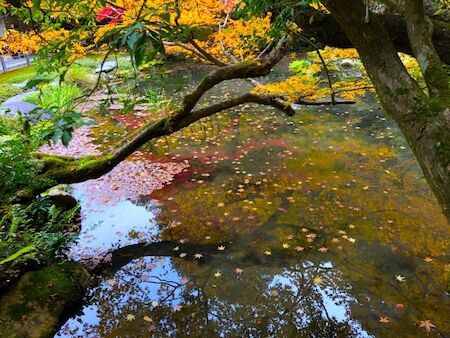 秋の京都