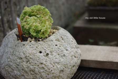 thumb_IMGP2770_1024