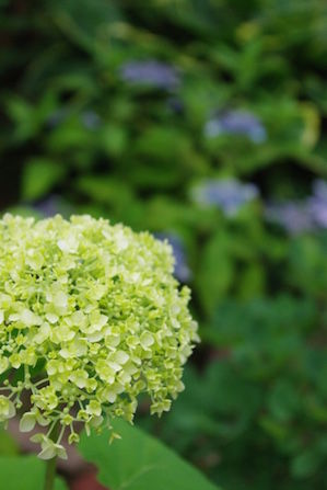 thumb_IMGP4572_1024