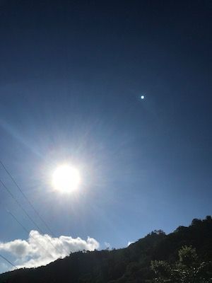 IMG_1333