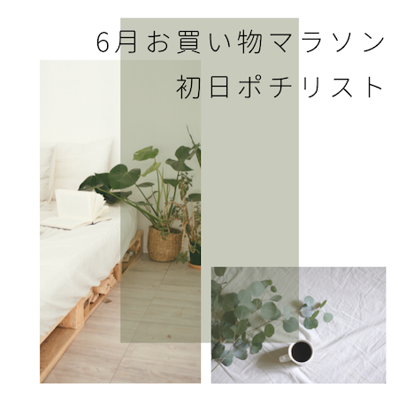 6月お買い物