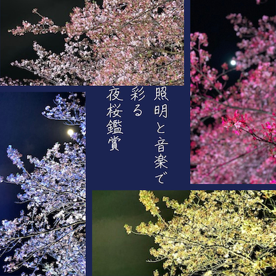 夜桜スポット
