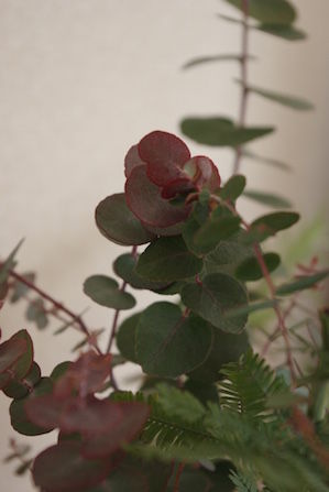 thumb_IMGP3284_1024