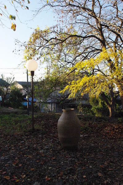thumb_IMGP9669_1024