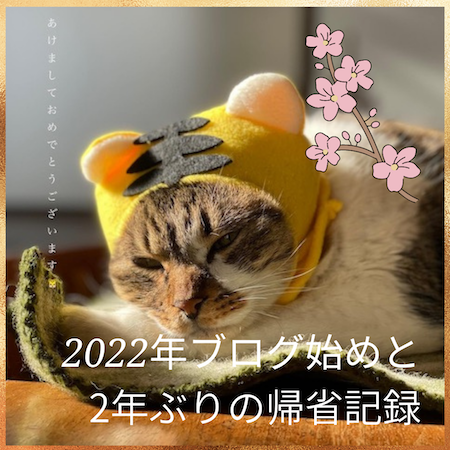 小梅とら