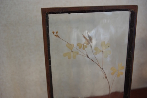 thumb_IMGP8989_1024