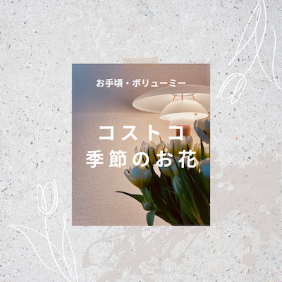 コストコチューリップ