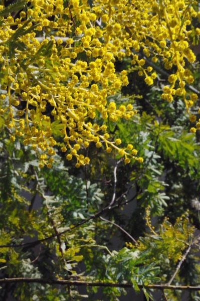 thumb_IMGP0488_1024