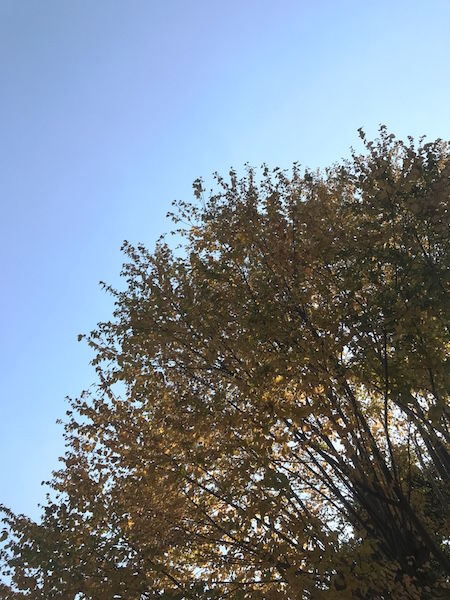 thumb_IMG_0281_1024