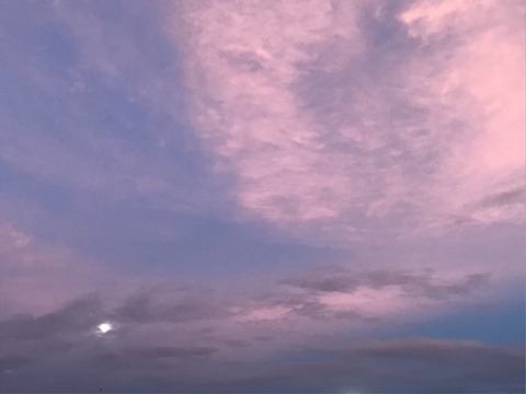 UNADJUSTEDNONRAW_thumb_36ba