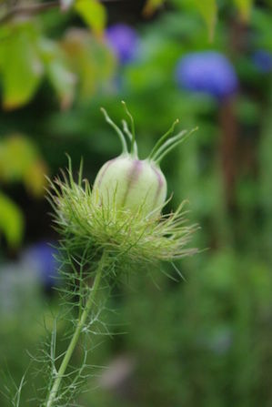 thumb_IMGP4575_1024