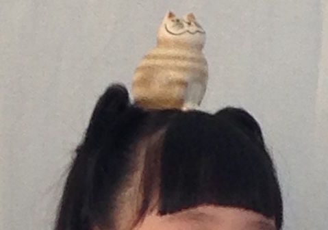 thumb_IMG_1156_1024