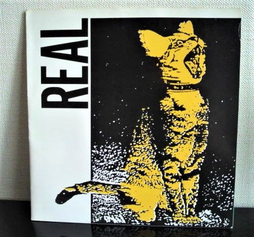 REAL（EP）「REAL」 : ダンボールの中の80年代