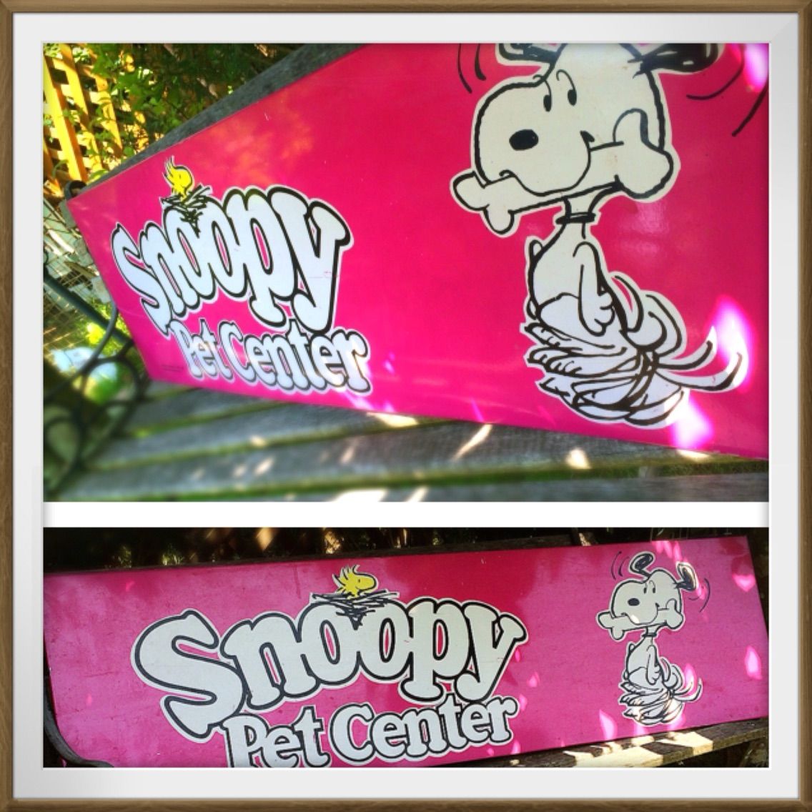 The Old Snoopy Collection August 16