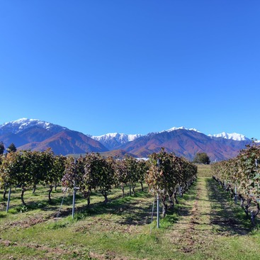 572135000_18064371638424096_429684519112179269_n