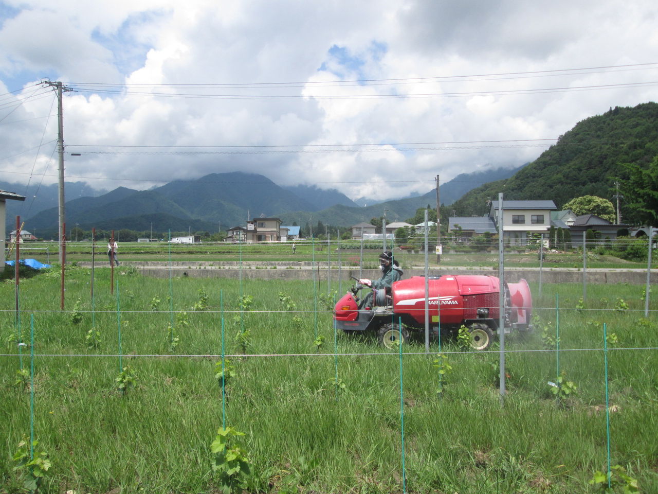 防除作業 矢野さんの畑 大町ワインぶどう生産組合 防除作業 矢野さんの畑 大町ワインぶどう生産組合