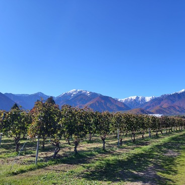 573332579_18064371647424096_4507693988017622259_n