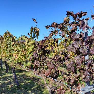 574656875_18064371656424096_2788663944376302754_n