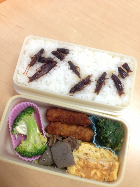 https://livedoor.blogimg.jp/omaeranews-idol/imgs/2/5/25dfbbdd.jpg