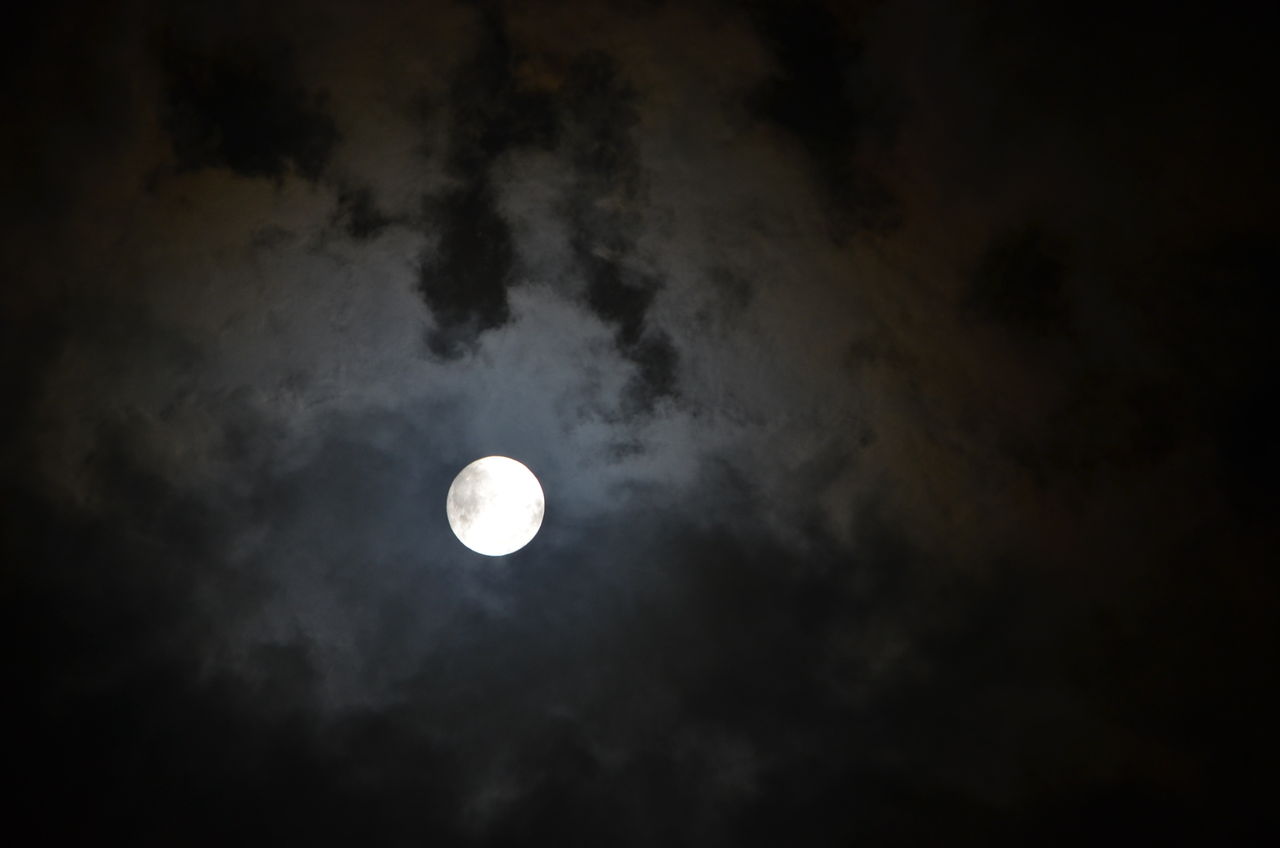 「月月に月見る月は多けれど月見る月はこの月の月」 千葉市郊外 緑と花と自然に囲まれて