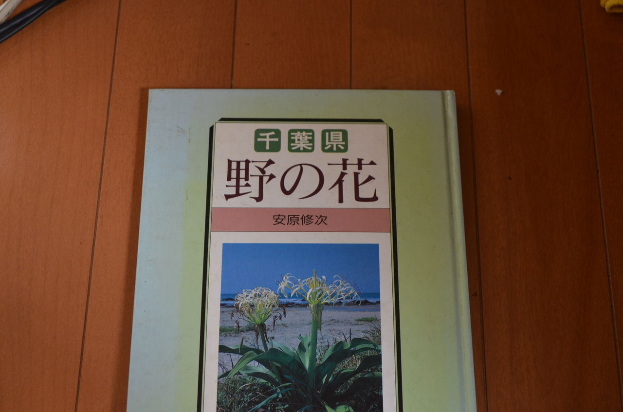 残念 ラジオ深夜便 聞きそこなった 野の花の写真家安原修次さん 日本さくらそう 愛称 千葉乙女 Yuu