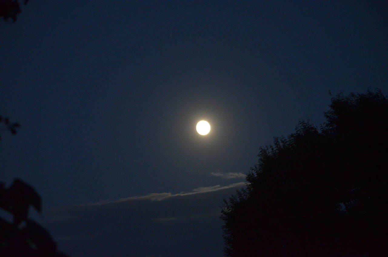 月々に月見る月は多けれど月見る月はこの月の月 千葉市郊外 緑と花と自然に囲まれて
