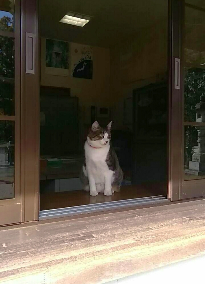 山梨県 甲府市 山梨県護国神社 参拝 御朱印拝受 祈りの日々 神社 仏閣 御朱印紀行