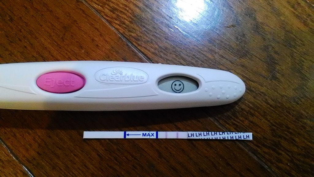 イージーデジタル排卵検査薬 排卵日検査薬クリアブルーイージーデジタルを使った事がある人いますか?｜女性の健康 「ジネコ」