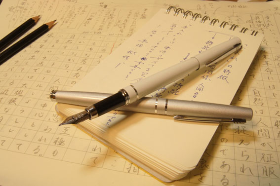ダイソー「万年筆」その後（使用後レビュー） : テーゲー日記 〜文具と