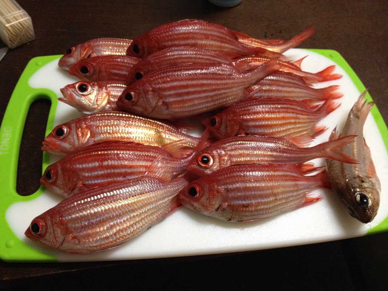 ６月１７日 西原釣行 テーゲー日記 文具と万年筆のブログ