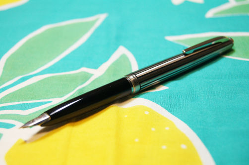 プラチナ「ポケット ステンレス蝕刻」レビュー : テーゲー日記 〜文具