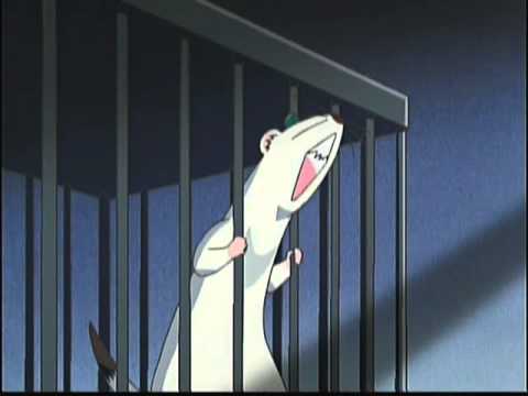 コジョピー しあわせソウのオコジョさん ってアニメは オタのほそみち コジョピー しあわせソウのオコジョさん ってアニメは オタのほそみち