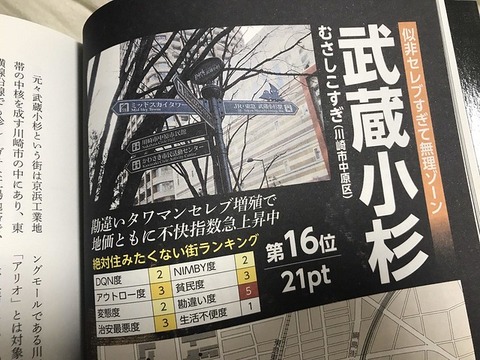 48904162172_a8d637bd1e_z