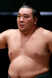 日馬富士3