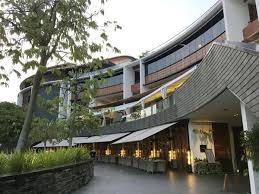 sasa