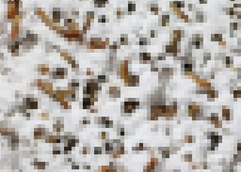 5bdce6ed00a7d273824c