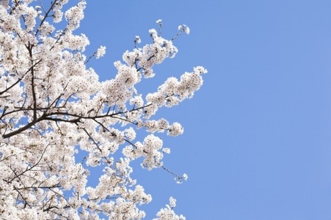 20180312-052501411_thum630