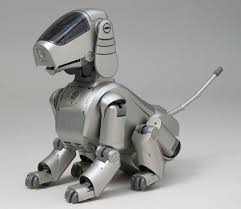 aibo