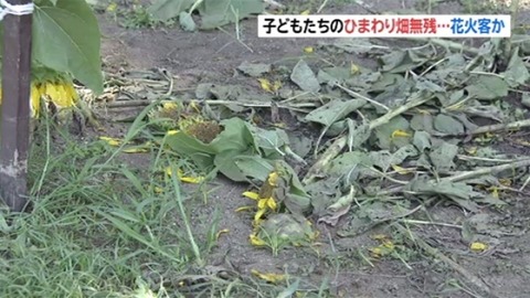 news3436789_38