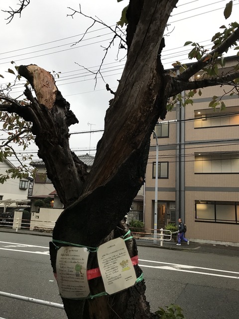 20171108_2056
