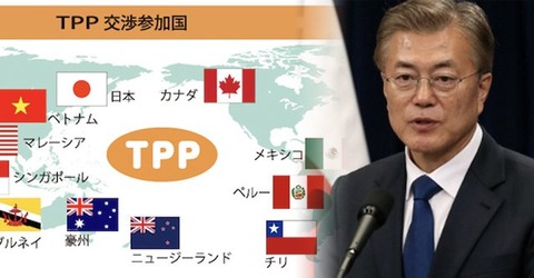 tpp-kankoku