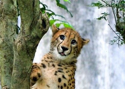 animal190708_03
