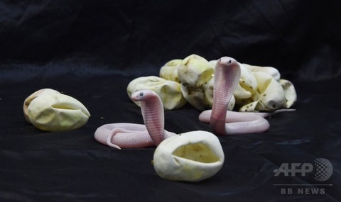 img_0886d1479daa7770091a045a7877ca0179022