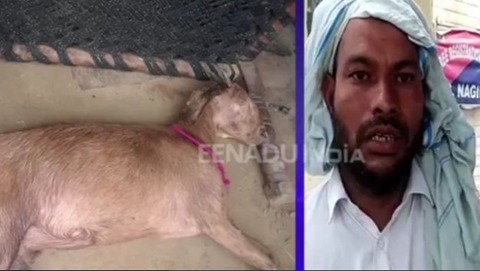 919568913de3eca113b9a8f41e98159e