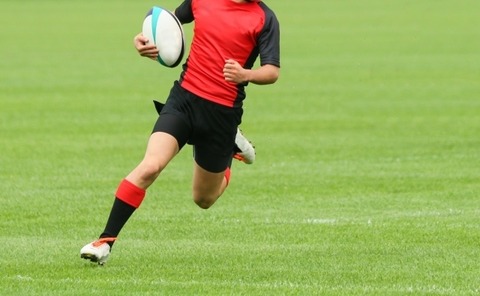 ref_l (4)